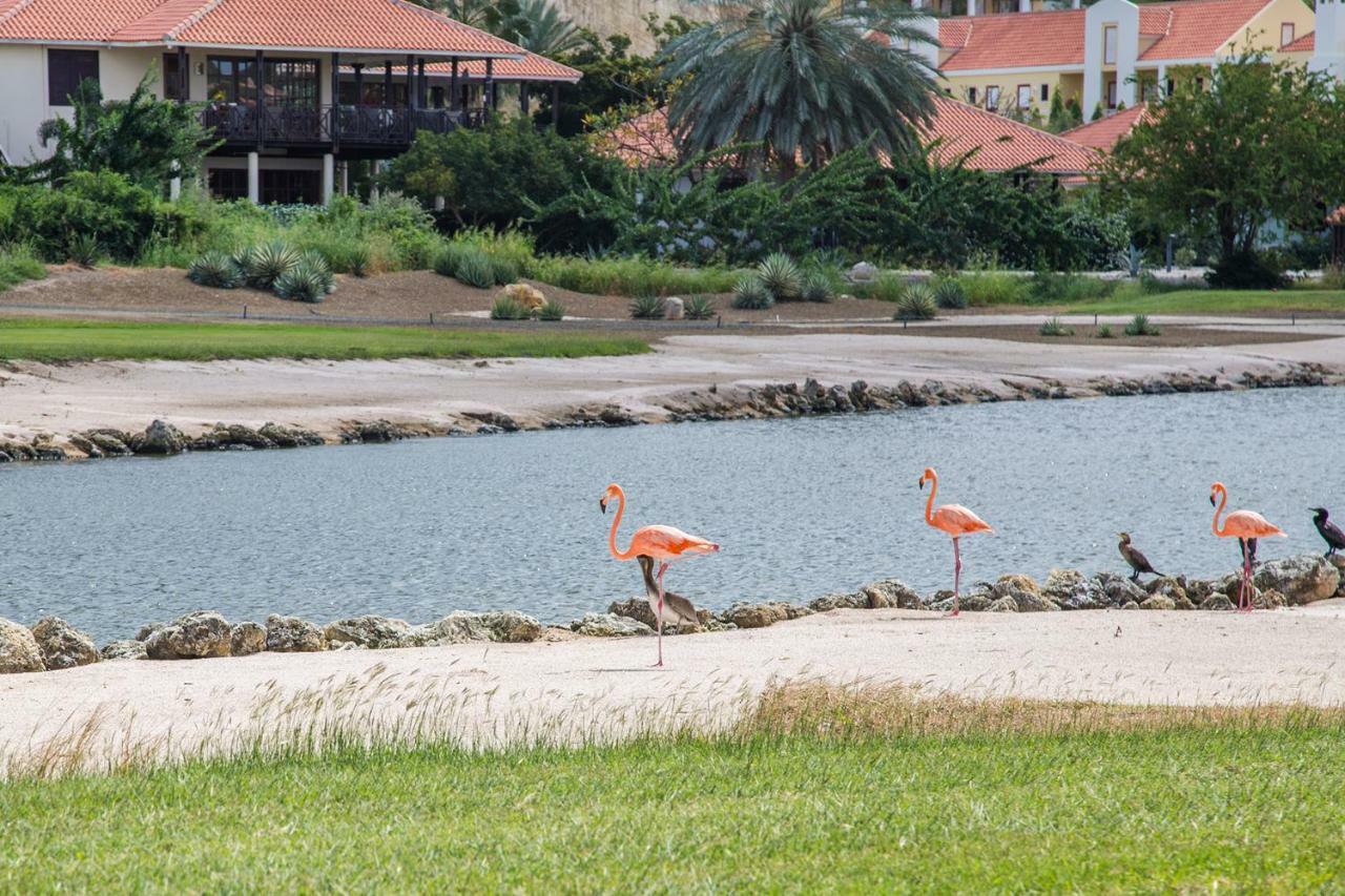 Blue Bay Beach Apartments Luaran gambar